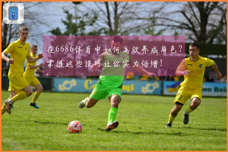 在6686体育中如何高效养成角色？掌握这些技巧让你实力倍增！